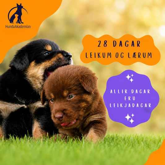 28 dagar - leikum og lærum