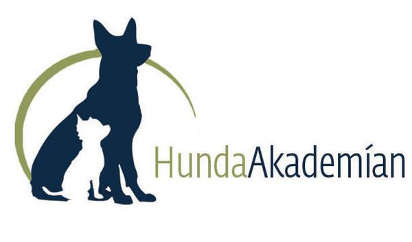HundaAkademian